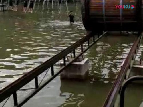 视频展示