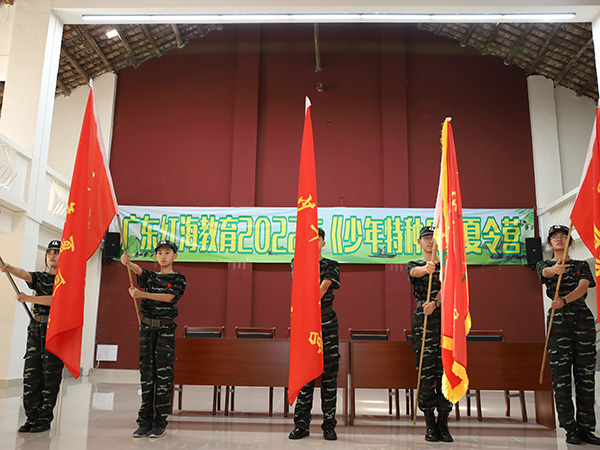 夏令营（军事素质教育...