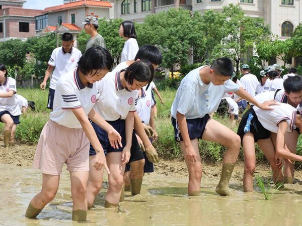 研学教育