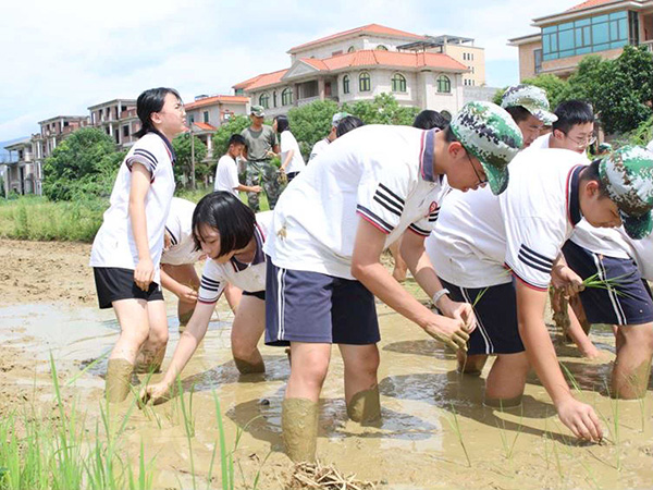研学教育