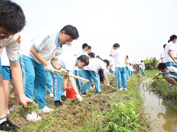 研学教育